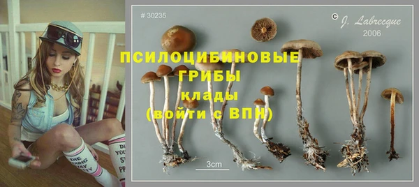 дмт Заволжье
