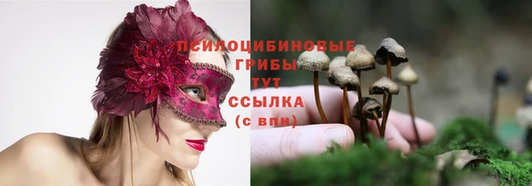 дмт Заволжье